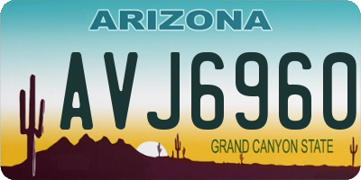 AZ license plate AVJ6960