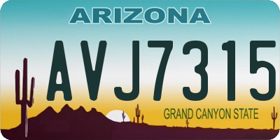 AZ license plate AVJ7315
