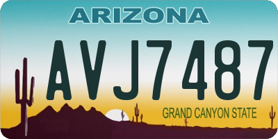 AZ license plate AVJ7487