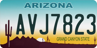 AZ license plate AVJ7823