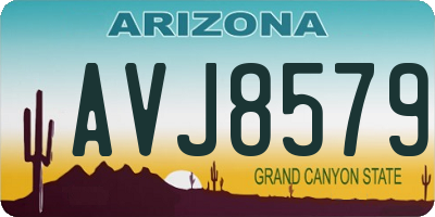 AZ license plate AVJ8579