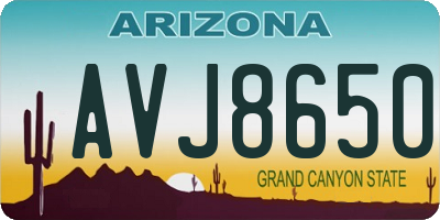 AZ license plate AVJ8650