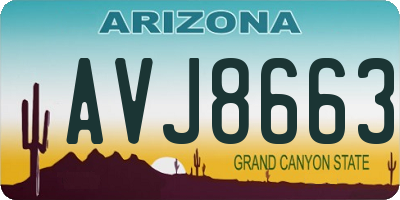 AZ license plate AVJ8663