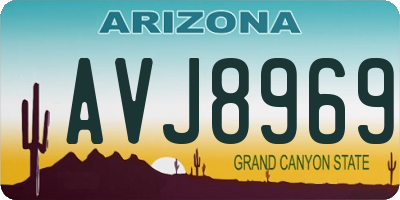 AZ license plate AVJ8969