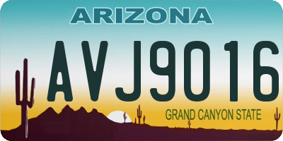 AZ license plate AVJ9016