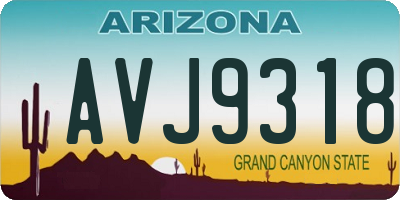 AZ license plate AVJ9318