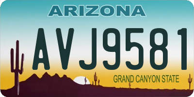 AZ license plate AVJ9581