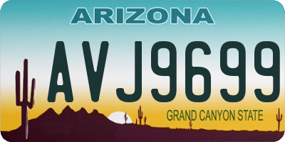 AZ license plate AVJ9699