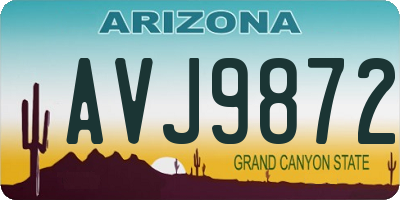 AZ license plate AVJ9872