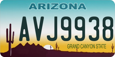 AZ license plate AVJ9938