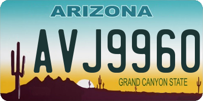AZ license plate AVJ9960