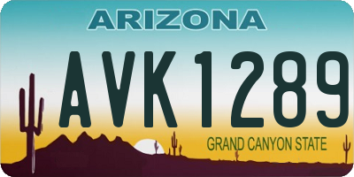 AZ license plate AVK1289