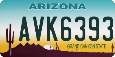 AZ license plate AVK6393