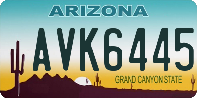 AZ license plate AVK6445