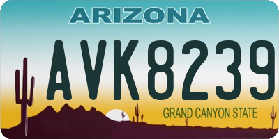 AZ license plate AVK8239