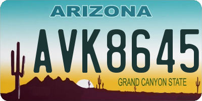 AZ license plate AVK8645