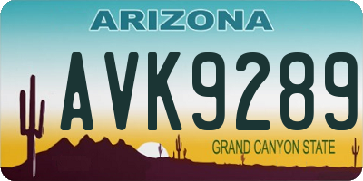 AZ license plate AVK9289