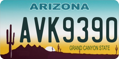 AZ license plate AVK9390
