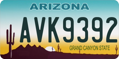 AZ license plate AVK9392