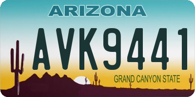 AZ license plate AVK9441
