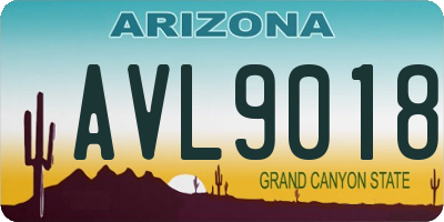 AZ license plate AVL9018