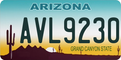 AZ license plate AVL9230