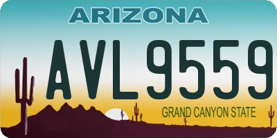 AZ license plate AVL9559
