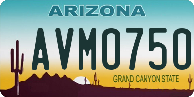AZ license plate AVM0750