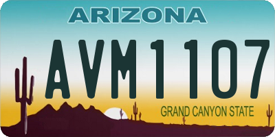 AZ license plate AVM1107