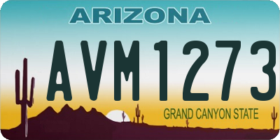 AZ license plate AVM1273
