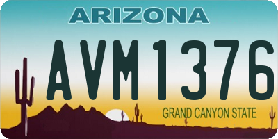 AZ license plate AVM1376