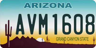 AZ license plate AVM1608