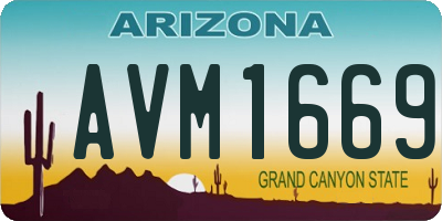 AZ license plate AVM1669