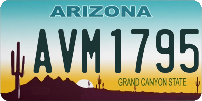 AZ license plate AVM1795