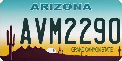 AZ license plate AVM2290