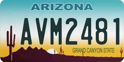 AZ license plate AVM2481