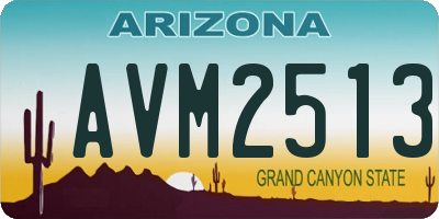 AZ license plate AVM2513