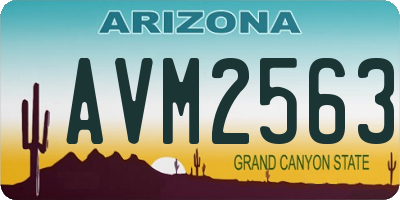 AZ license plate AVM2563
