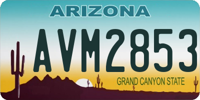 AZ license plate AVM2853