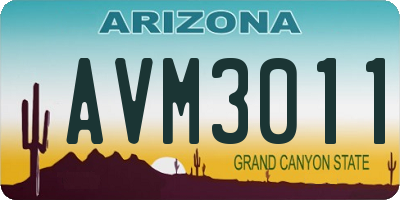AZ license plate AVM3011