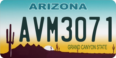 AZ license plate AVM3071