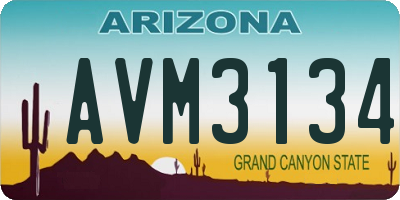 AZ license plate AVM3134