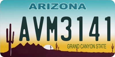 AZ license plate AVM3141