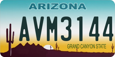 AZ license plate AVM3144