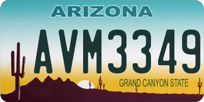 AZ license plate AVM3349
