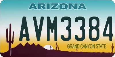 AZ license plate AVM3384