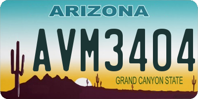 AZ license plate AVM3404
