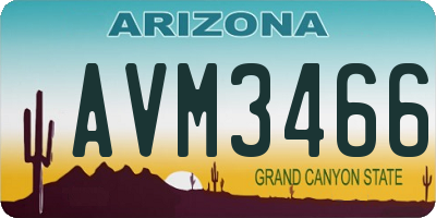AZ license plate AVM3466