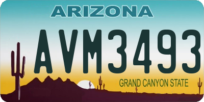 AZ license plate AVM3493