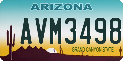 AZ license plate AVM3498